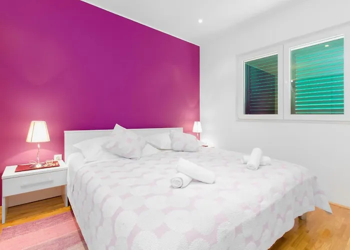 Kamelicina * Vinišće