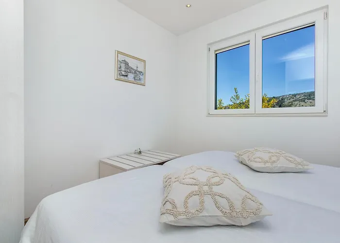 فيلة Kamelicina *