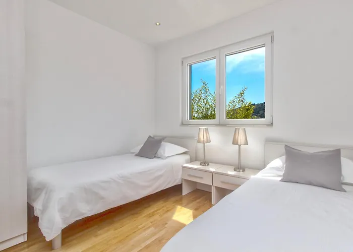 فيلة Kamelicina *